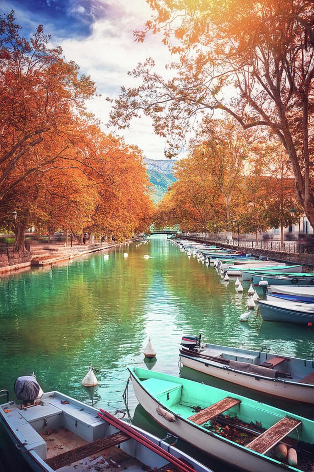 Le Coquelicot 3 Etoiles - Proche Vieille Ville, Calme & Confort Annecy Exterior foto